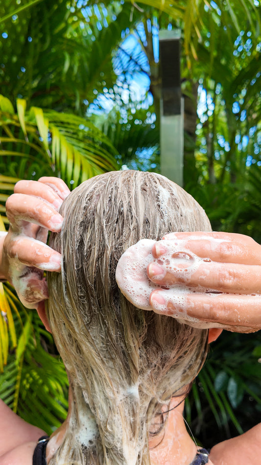 Rose & Argan Oil Shampoo Bar